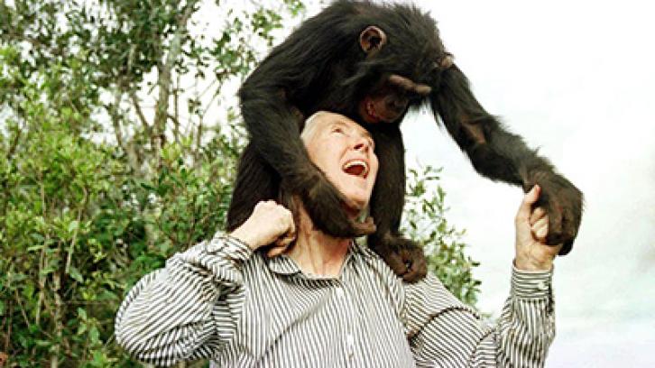 Dame Jane Goodall