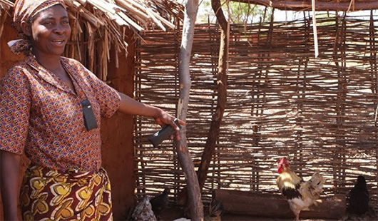 Lady and chicken