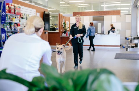 SVS clinic dog and client