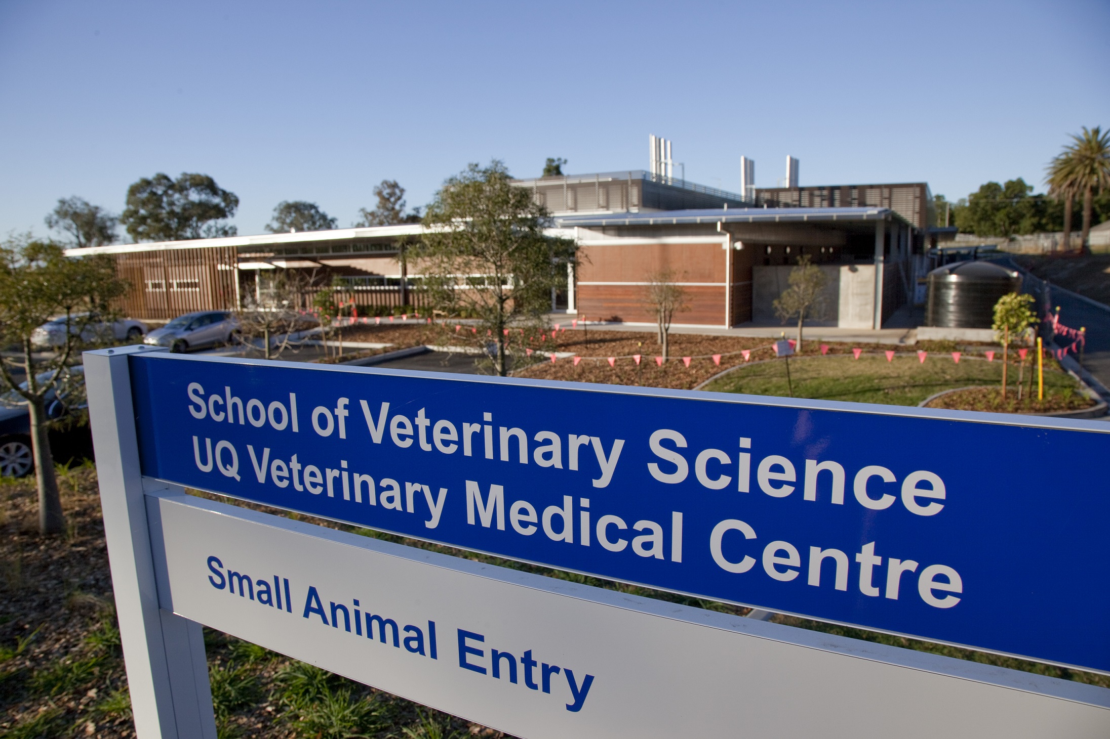 UQ ranked best in Australia for Veterinary Sciences - School of Veterinary  Science - University of Queensland