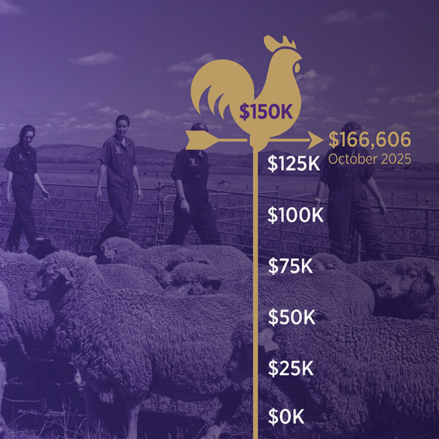 Fundraiser indicator graphic