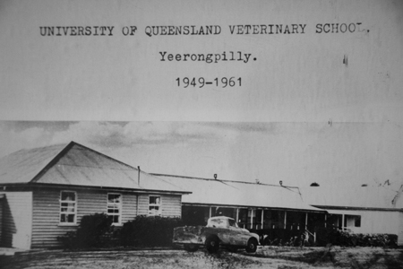 University of Queensland Veterinary School Yeerongpilly 1936