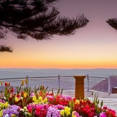 Garden over looking ocean