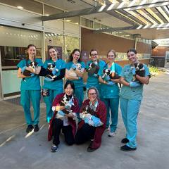 Vet students