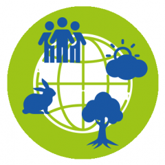 One Health logo