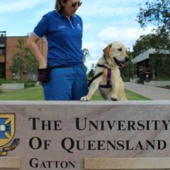 Dog and trainer