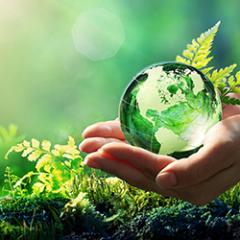 Earth in hands