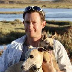 Dr Andrew Breed