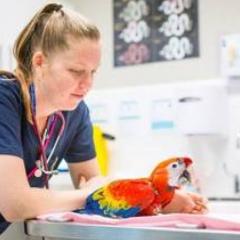 Nurse with parrot