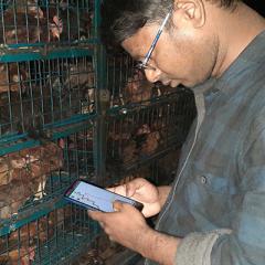 Poultry app