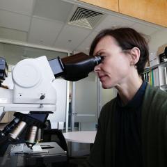researcher looking through a microscope
